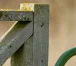 DSC_2996FullSizeCrop